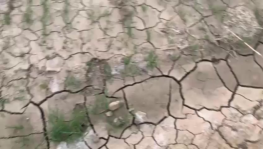 اسلام عليكم اخوان ارض للبيع مساحه دونمين سند ٢٥ كل الخدمات موجوده الاستفسار واتساب ***********
