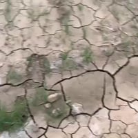 اسلام عليكم اخوان ارض للبيع مساحه دونمين سند ٢٥ كل الخدمات موجوده الاس...