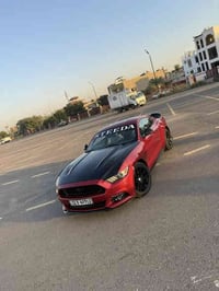 موستنك 2016 خليجي  6v وكالة انتر ناشيونال كير مكينة اكسل مكفولات  بيها...