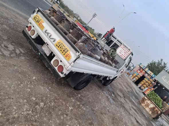 كيا بنكو موديل ٩٤ رقم بغداد بسمي وكاله غاز منطقة البيع الغراف.. للبيع ..السعر ١٦ مليون غير متواجد على الفيس الاستفسار على هذا رقم. ***********.
