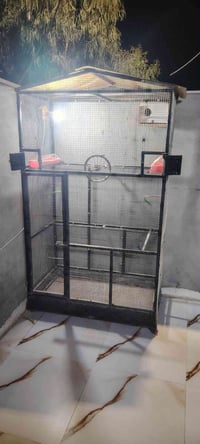 قفص بلابل • طيور زينة