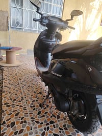 سبيسي ياباني • نضيفه • كوت زويريجات