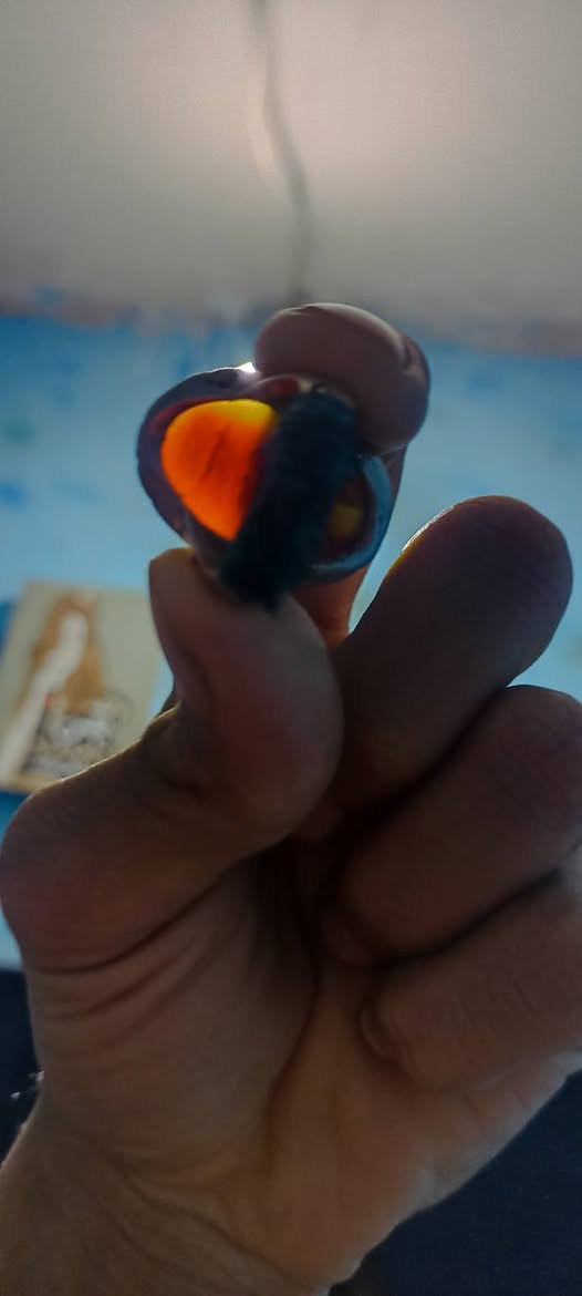 يماني مصور ب40وبي مجال


**إذا كنت صاحب هذا الإعلان وتريد حذفه لأي سبب، رجاءا أرسل رسالة إلى الدعم الفني**