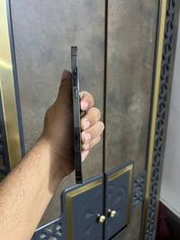 آيفون ١٢ برو ماكس • ٢٥٦ • نجف