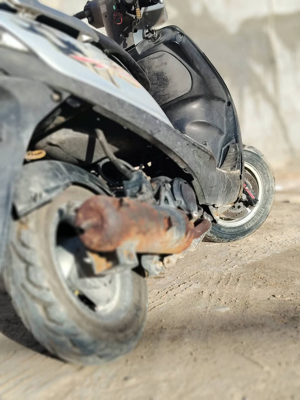 سلام عليكم مكلفف بل نشرر ماكس ثعلب لبيع مامفتوحه 400 وبيه مجال ***********مكان فريحه  يم شركت رنه
