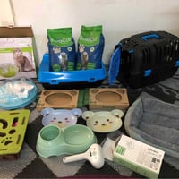 اشياء قطط • جديدة • اربيل روشنبيري