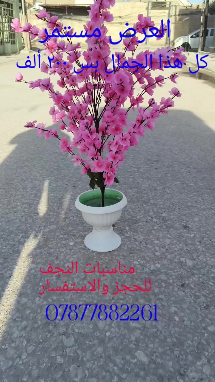 مناسبات النجف ✨✨
نقدم لكم خدماتنا في تنظيم المناسبات 
جادر أبيض و ١٠٠كرسي و٥٠ طبله مع الورد والتوصيل فقط ب ٢٠٠الف
💺 تأجير كراسي فخمة لجميع المناسبات (أعراس – مؤتمرات – مناسبات خاصة)
🚚 خدمة توصيل وتركيب داخل النجف فقط 
📍 العنوان: النجف الأشرف/الكوفه/شارع كوفه نجف /قرب الصحابي ميثم التمار( ع) 
📞 للحجز والاستفسار: ***********
#النجف #iraq #جادر #مناسبات #كراسي
