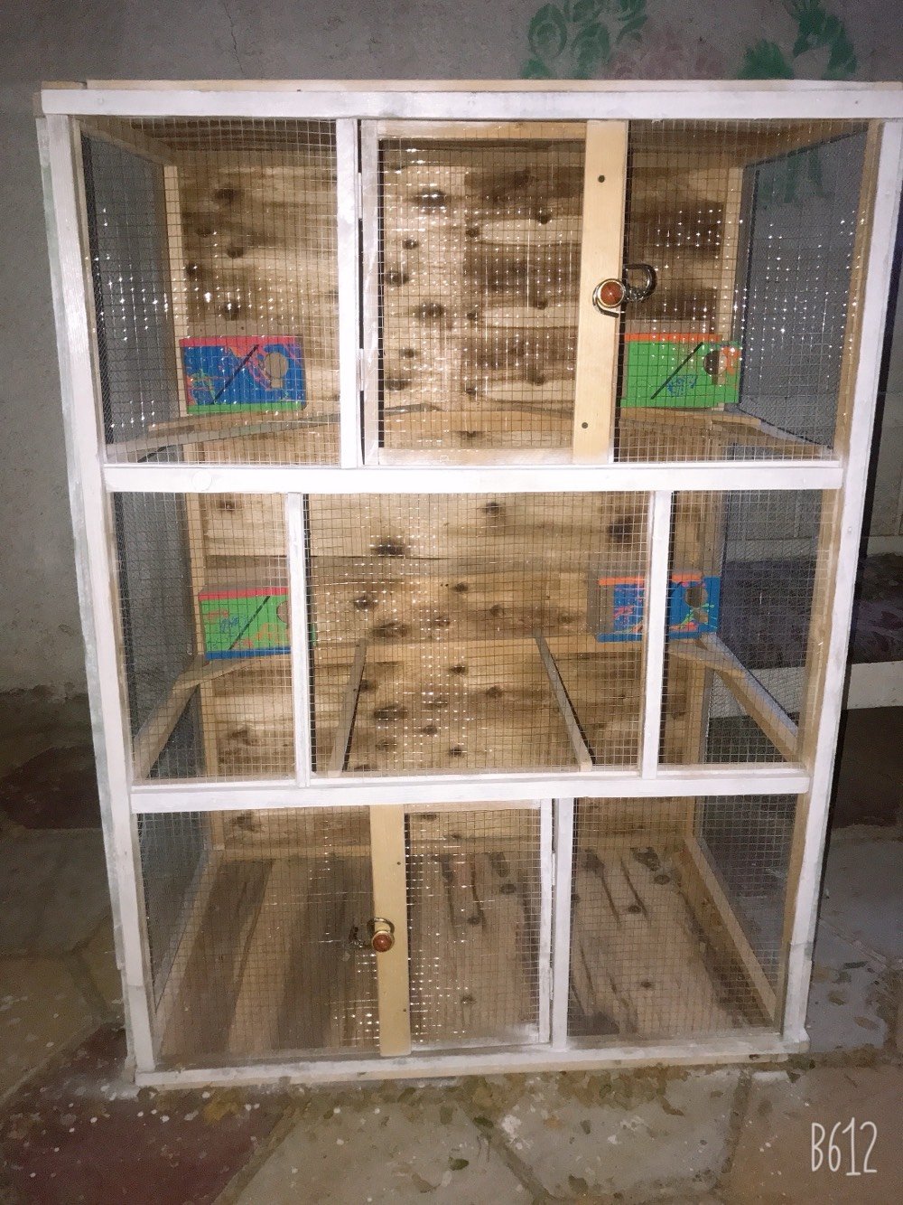 قفص متعدد الاستعمال عدد /٢
العنوان حي اور قرب حسينية المصطفى
اوصلهن الك لباب البيت 
والسعر باليرضي بي الله