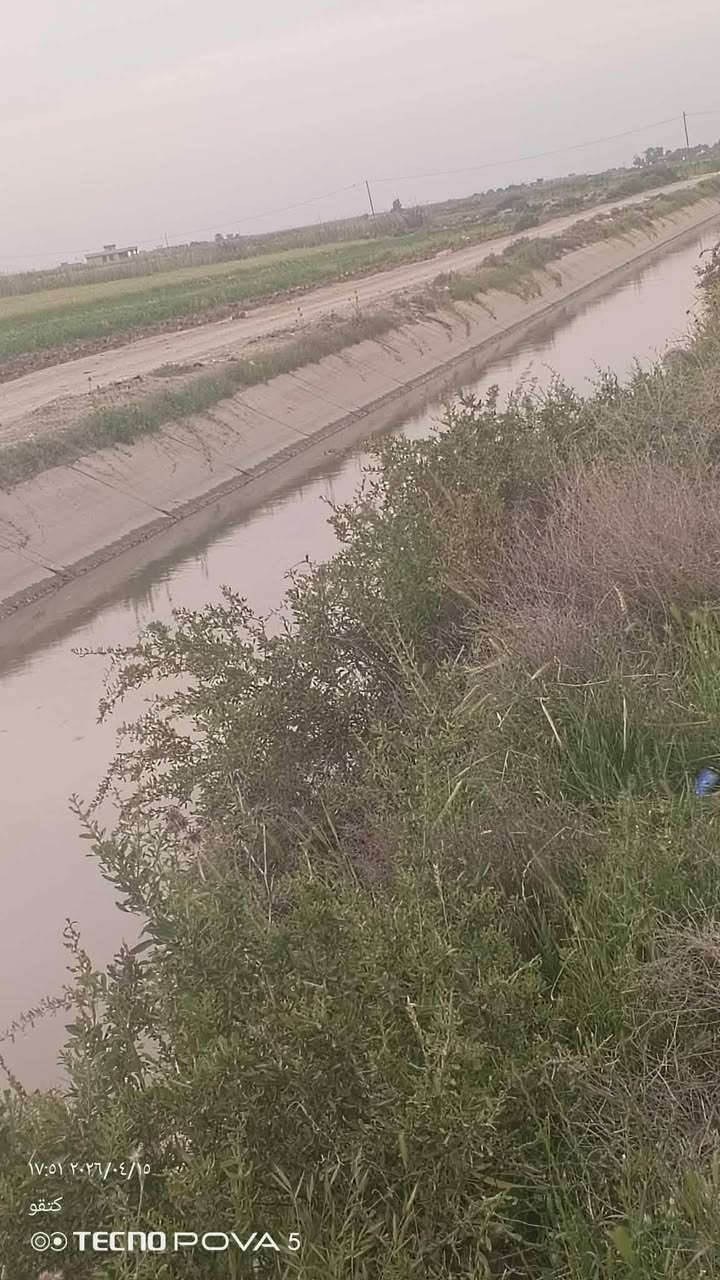 السلام عليكم ارض زراعيه المساحه 50 دونم طابو سند 25 تحويل مباشر سقي سيح اروائي صب سقاطات تربه جيده جدا هذا زرعها وجه الارض 250 متر تبعد عن التبليط اقل من كيلو وعن مركز المدينه 5 دقايق مع كافه الخدمات مدارس مستوصف محلات كهرباء اساله كامله من كلشي سعر الدونم 13 مليون وبيها مجال المكان الصويره بدعه حمد ***********
