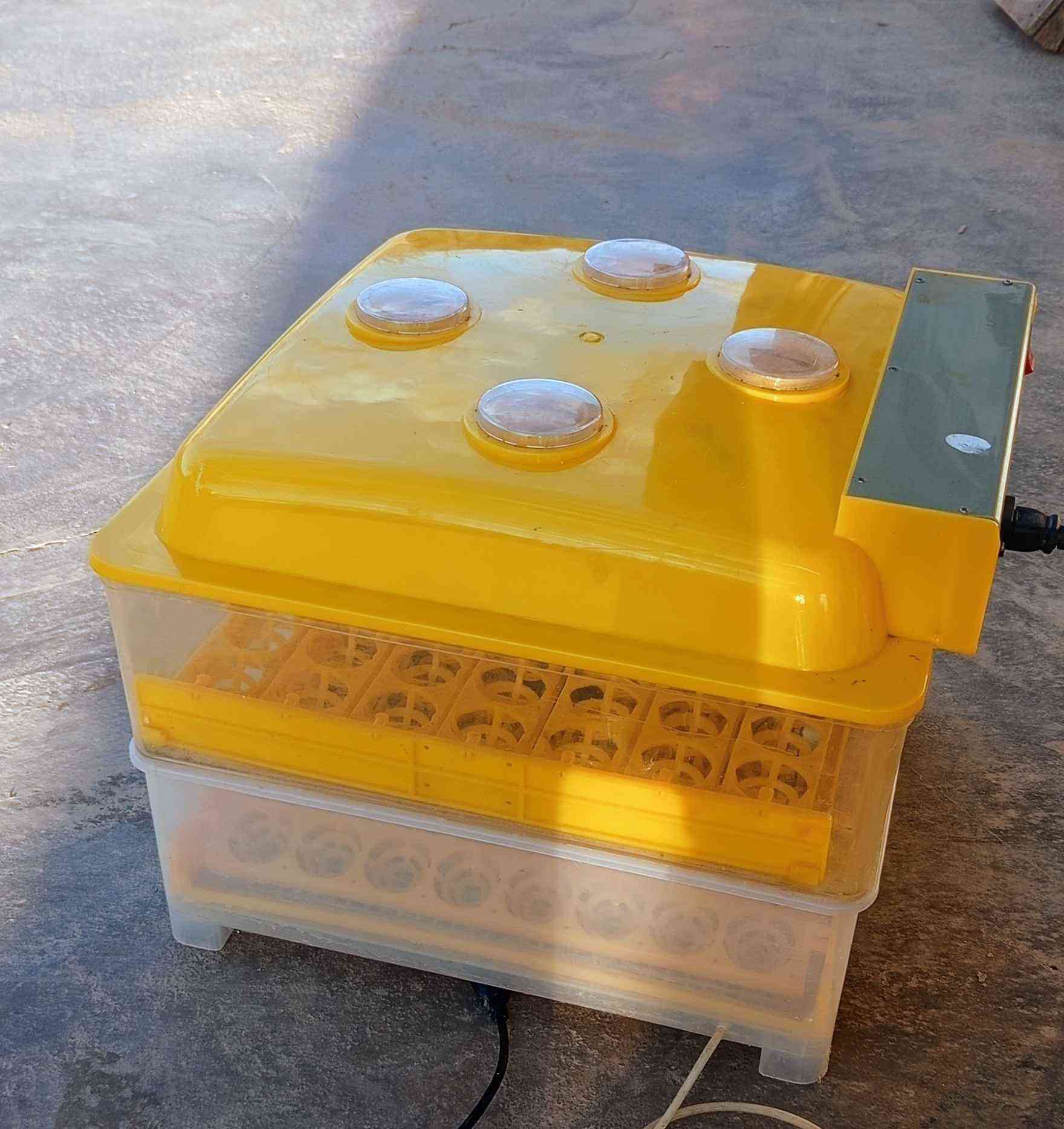 فقاسه للبيع  نضيفه مابيه اي عيب شغاله تلزم 120 بيضه السعر 110 او بيه مجال.  الرقم *********** كركوك, العراق
