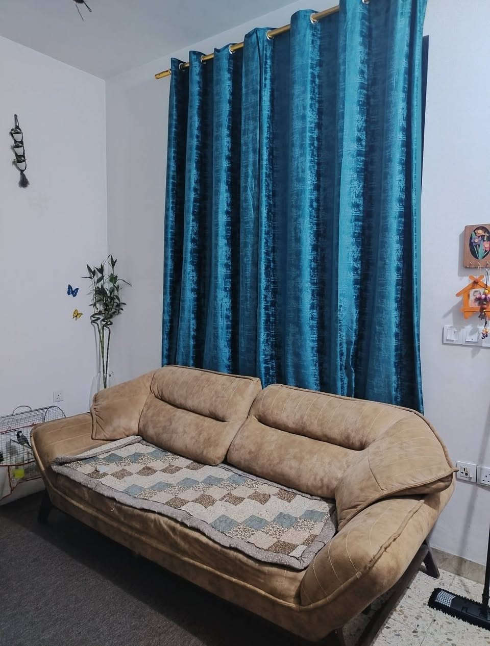 تخم تركي سعرا 350 الي يريدا يراسلني خاص


**إذا كنت صاحب هذا الإعلان وتريد حذفه لأي سبب، رجاءا أرسل رسالة إلى الدعم الفني**