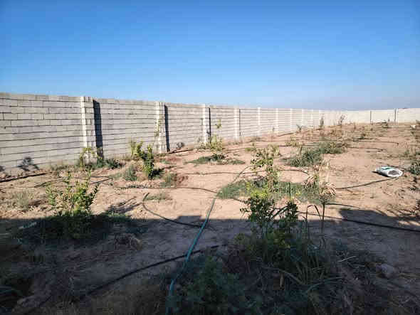 سلام عليكم
نصف دونم للبيع
الموقع صلاح الدين قضاء بلد بين مدخل 2 ومدخل 3
تفاصيل الأرض
جنس عقار طابو زراعي سند ٢٥ 
المساحه ١٢٥٠ متر 
الواجهه ٢٠ 
النزال ٧٣
مسيجه بالبلوك 
مزروعه حمضيات ونخل
ماء بير 
للاستفسار الاتصال على الأرقام التاليه 
*********** 
*********** 
او مراجعة مكتب التمار للعقار الواقع شارع المحطه محلات الحاج عدنان
