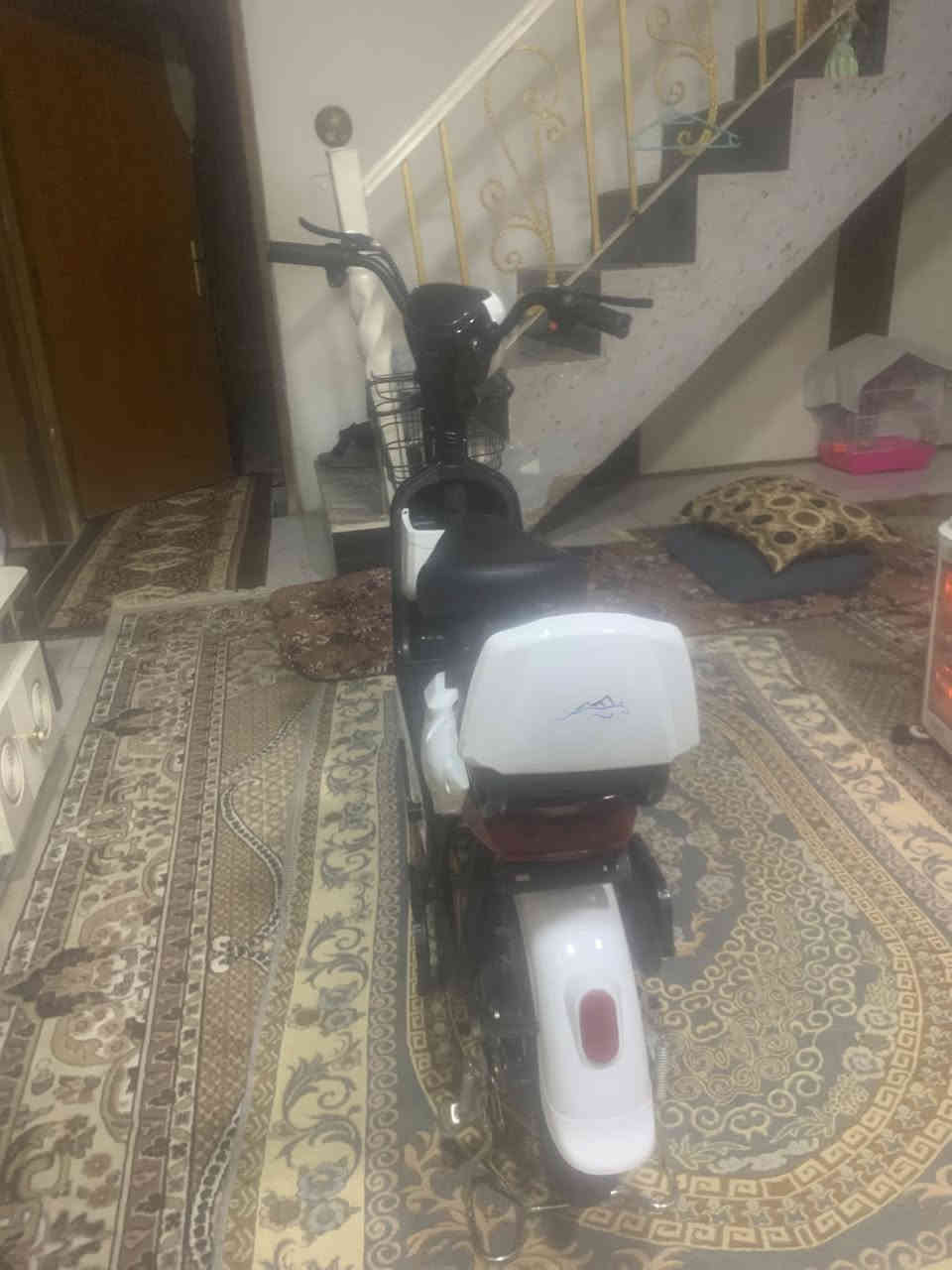 سلام عليكم دراجه شحن حجم 14 للبيع فول موصفات موديل 2025 4 بطاريات نضيفه بصمه وسويج السعر 320 وبيه مجال العنوان ديالى القمانيه قرب محطه عين شمس للتواصل هاذا رقمي ***********
