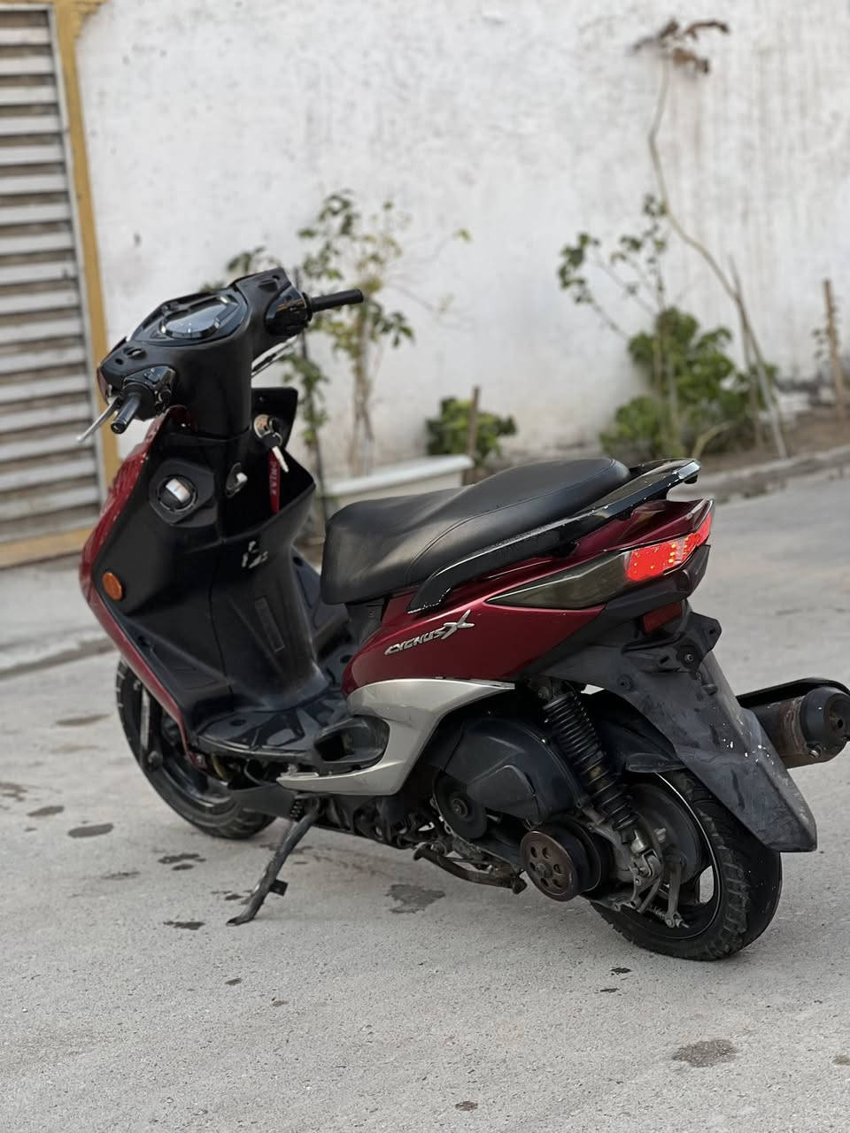 دراجه سكنس لد ياباني خطين شلعه ومعدل تشك الكاع تخم كلجات رياضي ماركه(روش) + سلف رياضي الدراجه تخبل من كل النواحي ناقصهة فقط ترايش + الجاملغ موجود سعرهة 925 وبيهة مجال


**إذا كنت صاحب هذا الإعلان وتريد حذفه لأي سبب، رجاءا أرسل رسالة إلى الدعم الفني**