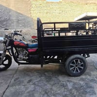 ستوته • بدون أوراق • الفلوجه