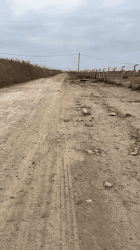 للبيع 5 دوانم في الدوره منطقة الزنبرانيه غرب من طريق السايدين حوراء بغ...