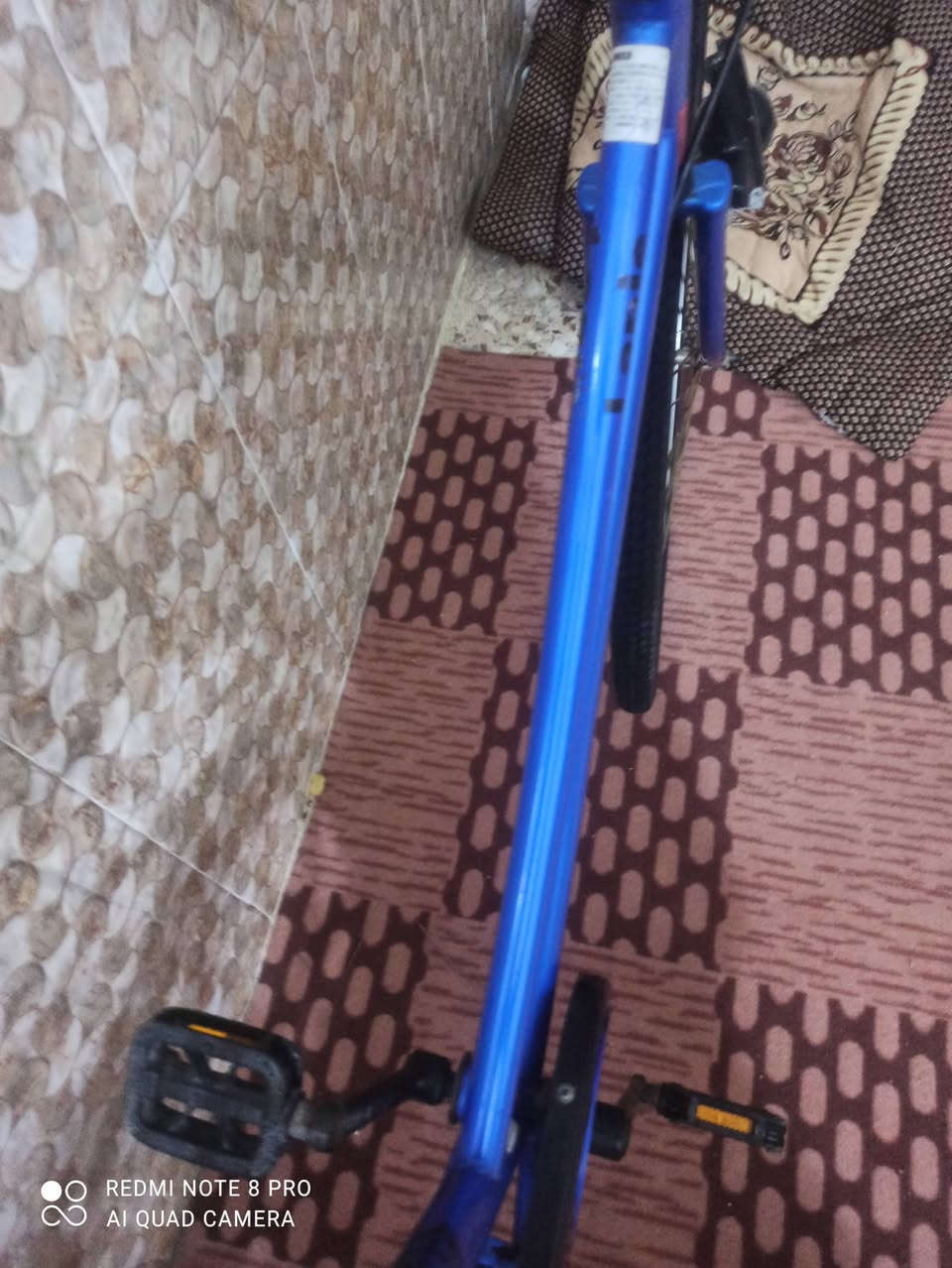امراوس فقص اشعندك نزل مكاني ديوانيه مركز 👍🏿


**إذا كنت صاحب هذا الإعلان وتريد حذفه لأي سبب، رجاءا أرسل رسالة إلى الدعم الفني**