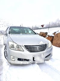 شاهين • ٢٠١٠ • مشي قليل