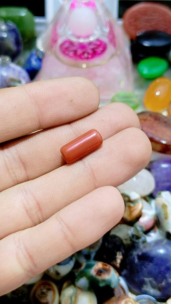 قطعه من جمال البحار التونسيه 
مرجان تونسي طبيعي قطعه نادره معرقه من الداخل


**إذا كنت صاحب هذا الإعلان وتريد حذفه لأي سبب، رجاءا أرسل رسالة إلى الدعم الفني**