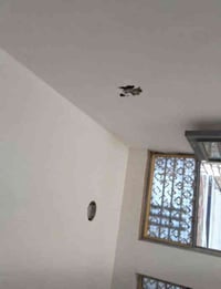 اني خلفه امبيضجي جص وبورك متفرغ شغل درجة اولى ان شاء الله من بغداد متف...