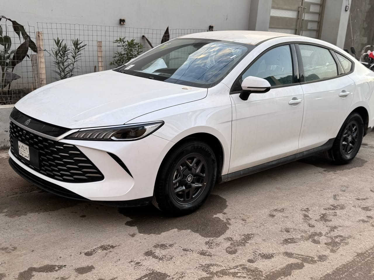 سلام عليكم اخوان BED كن بلاص  موديل 2025 ماشية 1300 يعني الف وتلثمية كيلو ماشالله بعده زيرو رقم بغداد داخل زيتوني كامل ملحقاته معاها للبيع اومراوس ابسيارة اقل مكان السياره ديالى بعقوبة ***********
