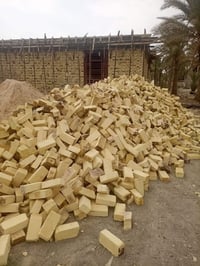 طابوك الدوانيه • قوية • نجف
