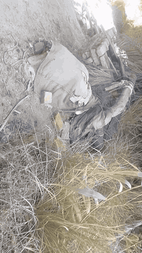 سلام عليكم
بستان مرتب بي ٥٠ نخله كبار وحمال شاطي وجه عله شارع تبليط ونهايته عله شط الفرات العرض ١٥م والنزال ١٥٠م  عله طريق شريف ع سعر ٥٠ مليون ***********
