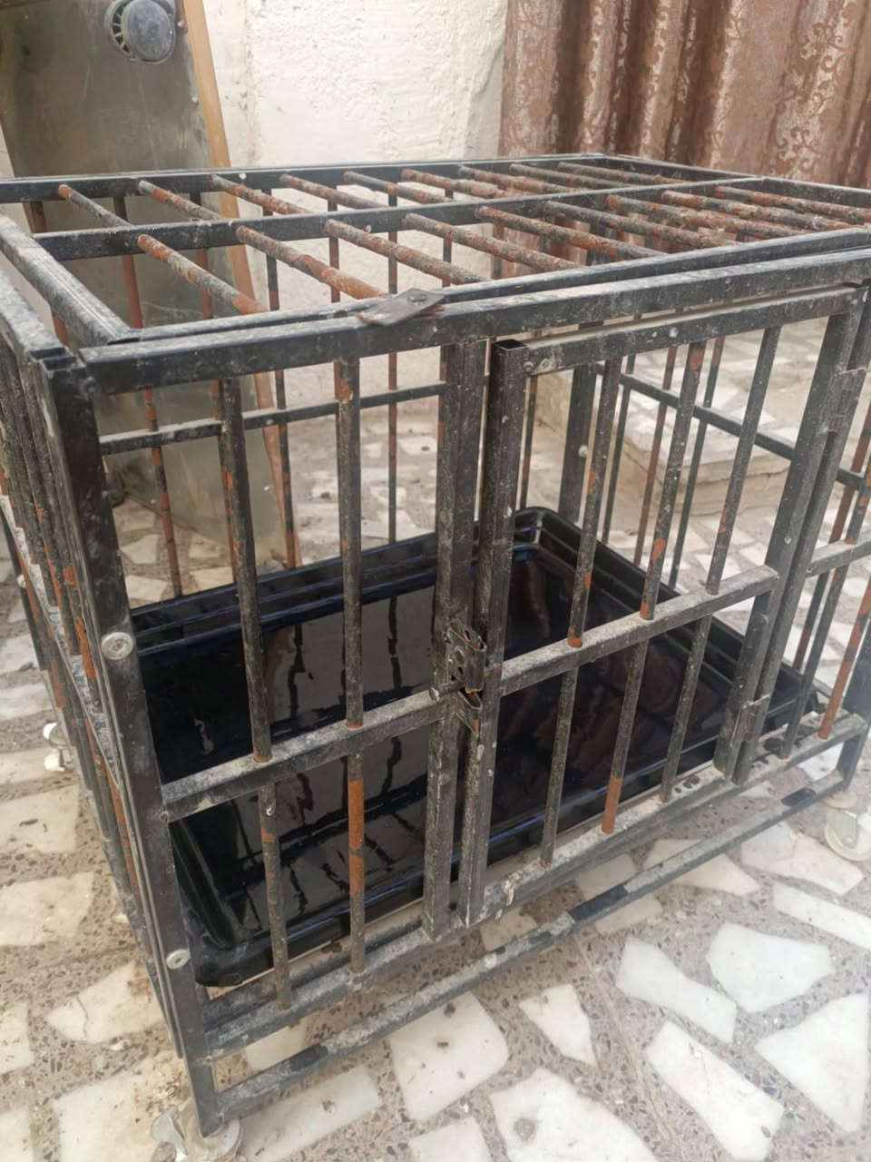 للبيع كلمن وسعره مكاني نجف اي استفسار خاص


**إذا كنت صاحب هذا الإعلان وتريد حذفه لأي سبب، رجاءا أرسل رسالة إلى الدعم الفني**