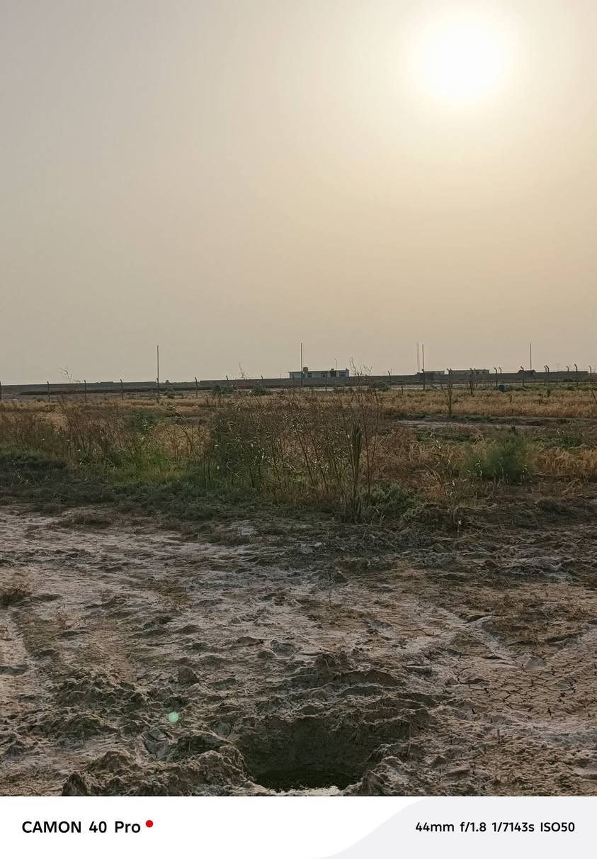بستان دونمين ونص لبيع حي الحكيم عبور الصومعه
شارعه تبليط يبعد عن شارع 400م مسيج بل الكامل
طابو زراعي 25 و تحويل بل الاسم مباشر
كهرباء وماي 
للاستفسار ***********
السعر خاص
