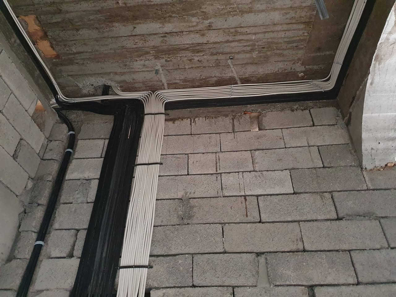 ﴿ رَبَّنَآ ءَاتِنَا فِي ٱلدُّنۡيَا حَسَنَةٗ وَفِي ٱلۡأٓخِرَةِ حَسَنَةٗ وَقِنَا عَذَابَ ٱلنَّارِ  ﴾ 
بحول الله وقوته مستمرون  بالعمل في أيام الشهر المبارك لأكمال دار أحد الزبائن في منطقة القادسيه / شارع الگراج ،
(نحن نجدد وغيرنا يقلد)
هدفنا مواصلة السير على خطى الأبداع من بداية التصميم حتى التسليم 
ننفذ أعمالنا بكل مهارة وحرفية لا مجال للخطأ في أعمالنا نحن مختصون بما يلي 
1- تأسيس كافة أنواع الكهرباء سيمنز بوري 
2- صيانة وتشخيص الأعطال الكهربائية 
3- تأسيس المنازل والبنايات التجاريه ودوائر الدوله حسب مخططات مدروسه 
4- تصميم بوردات السيطرة ATS & PLC & أنظمة Wi Fi  الذكيه
5- العمل على نظام SMART HOME والتحكم بأرجاء المنزل عن طريق الموبايل 
6- توزيع شبكة كاميرات مراقبة بدقه عاليه 
7- تنصيب منظومة أطفاء الحرائق، 

 لسنا الوحيدون لكننا نسعى لتقديم أفظل إمكانياتنا
احمد ومحمد للتأسيسات و السيطره الكهربائيه 
للأتصال والأستفسار مراسلة الصفحة او الأتصال على رقم الهاتف
أحمد ومحمد للحلول الكهربائيه وبالطرق الذكيه الحديثه نظام سمارت مودرن و ATS
احمد***********
محمد***********
تلي@ALMubdiun
https://www.instagram.com/almb.don?igsh=Z293bXk1YmFmMWZk
