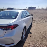 كورله٢٠٢٤ خليجي ساس مكفوله من الصبغ والبارد بيه ملاحضه  ٠٧٧١٤٤٨٣٤٠٠  ص...