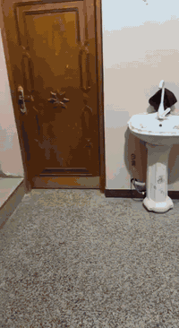 حي الحكيم • 230م • مكتب/شركة