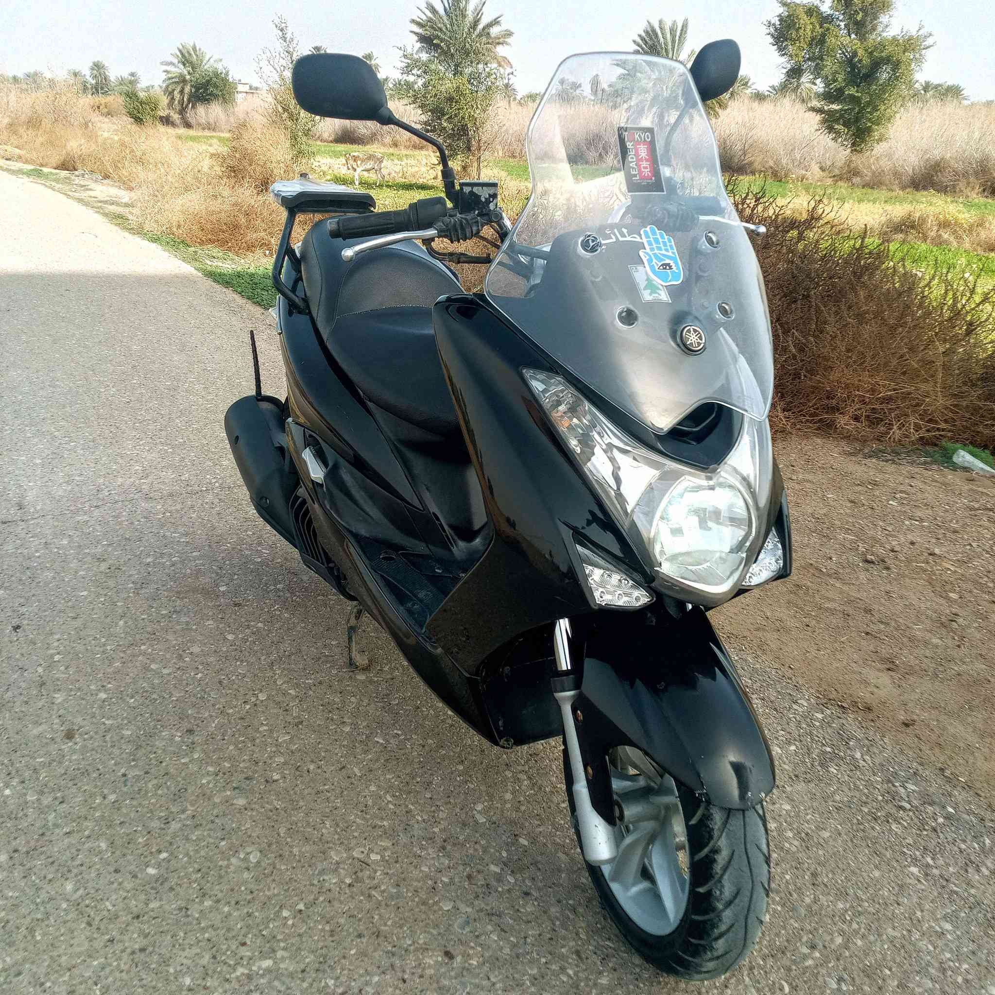 سلام عليكم دراجه ماجستا S للبيع السعر 18ورقه وبيها مجال مكينه وكير مكفولات مكاني ناصرية أكثر تفاصيل خاص 🙏 أو مراوس بفورزه


**إذا كنت صاحب هذا الإعلان وتريد حذفه لأي سبب، رجاءا أرسل رسالة إلى الدعم الفني**