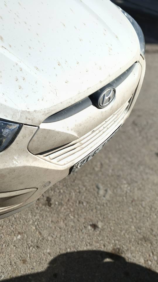 هۆندا تۆکسۆن ٢٠١٢ شاشە ئایپاد و کامیرە گێڕ ئۆتۆماتیک و گێڕ عادی دودەرگاکەی لای سەکن لەبەر شوخوت بەخ کراوە یەعنی سبوغە سۆنەرەکەیم داناوە بۆ زانیاری زیاتر پەیوەندی بەم ژمارانەوە بکە***********یان***********شوێن چەمچەماڵ
