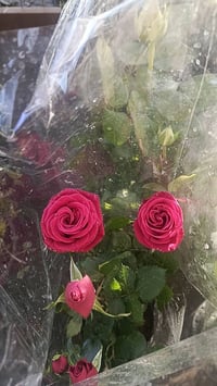 مشتل سيد حسين • حمضيات وزينه • عروض نار