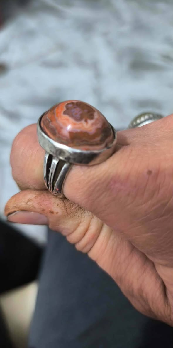 اللهم صل على محمد وال محمد الطيبين الطاهرين
متاح شراي يراسلني خاص ويدلل


**إذا كنت صاحب هذا الإعلان وتريد حذفه لأي سبب، رجاءا أرسل رسالة إلى الدعم الفني**