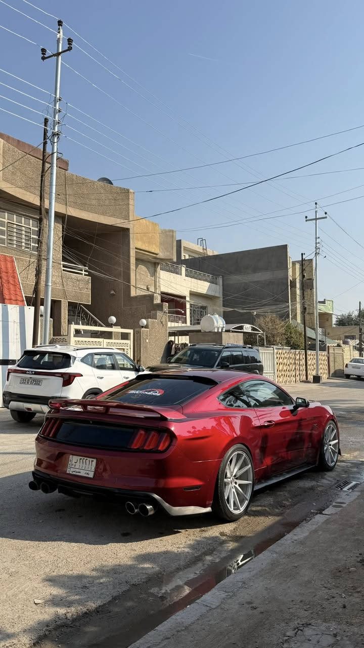 النداء الاخير ماكو هيج جمال ونظافة وقوة بهيج سعر ❤️🔥
جيتي 2015 تراك بكج كير عادي اصل
دخول كلين رقم بغداد تحويل ثاني يوم
بلعراق بيه محدثين بجم شيلبي ورجعته بلاد مال جيتي
ماشية ٥٠ ميل
كير مكينة اكسل بلجيس
صدر امامي نص عمر
صدر خلفي نظيف
كلج وعنبارات جديد
راديترات جديد
جوينات وكوع جديد 
تبريد وكمبريسر جديد
باتري جديد
حساسات اوكسجين جديد
بولش 
شوته jlt
هدرز borla longtube 
X-pipe
دبات dynamite ريمونت 
تبات 
دركة شيلبي 
كشنات ريكارو اصلي زوج 
ويل اصلي 20
ليدات دعامية خلفية 
ليدات دفيوزر
شباك CS فوك اسفل  
لحية سيرفيني 
دفيوزر شيلبي موديل 20
سبويلر تراك بكج موديل 20
شفقة جام خلفي 
مكان بغداد

السيارة نظيفة كلش وجديدة ومدفع 🔥 
154 وبيه مجال للشراي ❤️
***********
