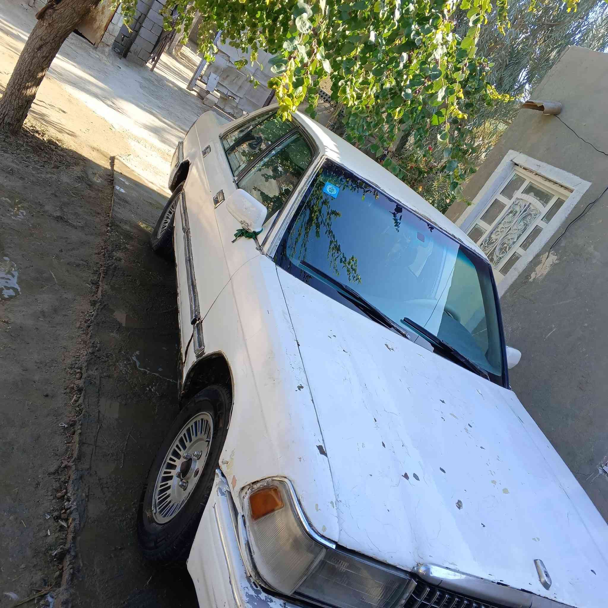 سلام عليكم
1.سيدان ياباني 
2.موديل 91 محرگ واكف يشتغل بس بيه صوت  مفتر بيه يطغ ما انطيگ بيه ظمان الووو بدقيقه 
2. صبغ حزام بدون ضربهه  
 3.كير كفاله اي تنقيص ما بيهه
4. رقم دولي بسمي ثاني يوم تحويل مشروع وطني 
5. خياسات بيههه  
6. تجي تقتنع بسياره يله تشيل سياره من يمي 
7. مكاتبه بنفس اليوم 
8. غرفته نظيفه معن الكلمه
9. انطيگ سياره بدون محرگ الجدام 
10. سنويه تنتهي ال 28 
11. رقم *********** لا يوجد واتساب رجاءااااا رجاءااااا
12.السعر =16 وبيهااا مجال حق الح الجيهههه
13. المكان بابل الحله الحزمه الغربي   طريق الشوملي .(خيكان )
