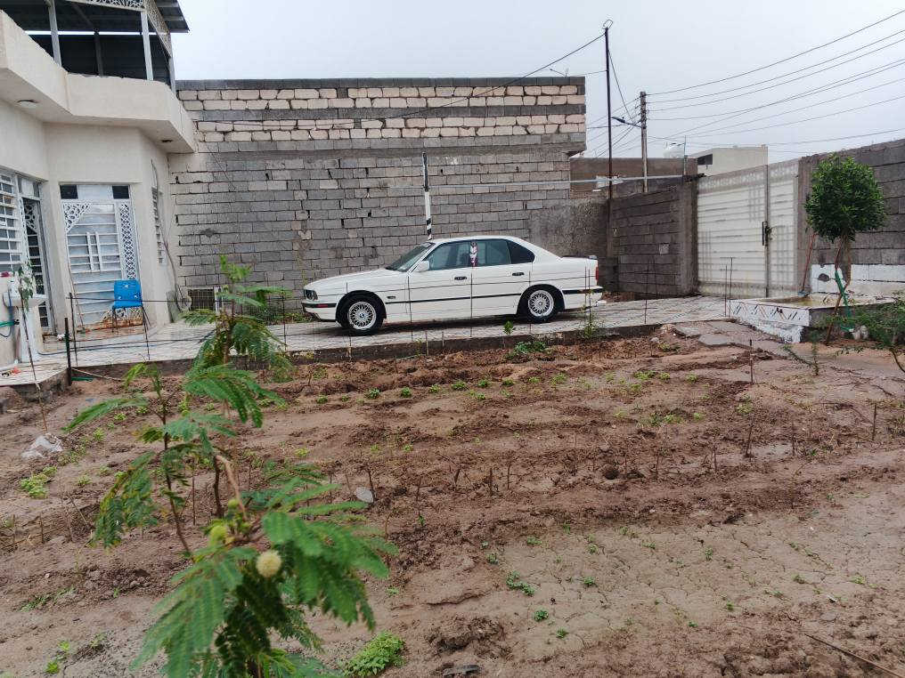 السلام عليكم BMW525اصل سنويه قبل تقريبا 6اشهر انتهت رقم بغداد شبه مميز جاهزه للتحويل  محرك6مسكر كير اوتو شلعه ومعدل طياره ✈️

جام كهرباء شغال
 تبريد  
 لايت عالي زنون ناصي زنون بلوجكترات زنون
اشاير رباعيه وسوارت والبدعاميه كلهن شغالات
 سنتر لوك
 بيها شاشات ثنين وحده MB3   والثانيه داش كام امامي خلفي
 دشبول وكشنات جلد نضيفات 
باتري قبل 5ايام شاده
 تخم دسكات امامي وفلنجات قبل اسبوع بدلتهن ب130الف
 البدي مكفول من الكصه ونقل الجثه والباقي شوف العين 

بالنسبه للسعر  رمشلي وانا اخابرك اكلك ابيش
كل التفاصيل ذكرتهن  
مكاني بصره  *********** واتساب
‏‪***********‬‏ اتصال البصرة, العراق
