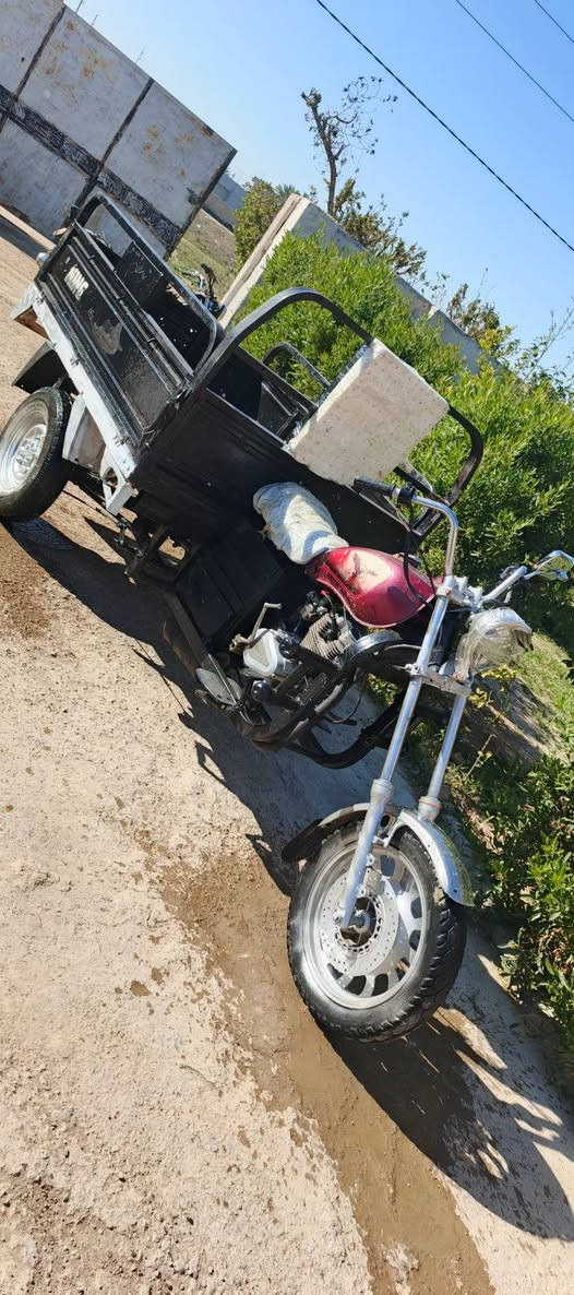 ستوته ام الطير بدون اوراق اسوي مكاتبه 
السعر ٦٠٠ وبيها مجال 
ديالى خان بني سعد ***********
***********
