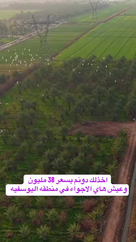 لاليوسفيه القصر الاوسط حي الشهداء الحركاوي سعر دونم 38مليون  الخدمات كامله مي وكهرباء تواصل علي رقم***********
