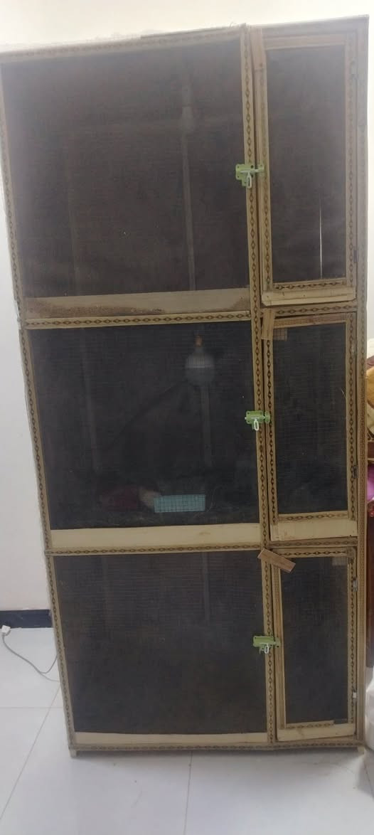 قفص مال دجاج.
القياس العرض متر
النزال ٨٠
طول مترين
السعر ٦٠ قفل
المكان حي الزيتون


**إذا كنت صاحب هذا الإعلان وتريد حذفه لأي سبب، رجاءا أرسل رسالة إلى الدعم الفني**