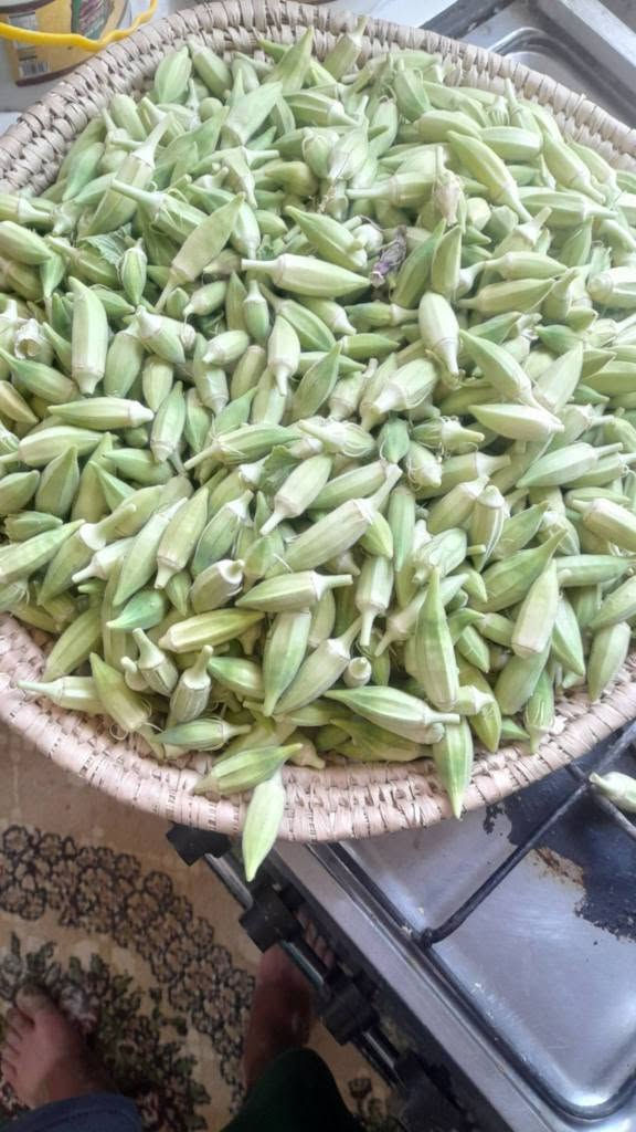 متوفر بانيه الكيلو بالفين وكيلوين بخمسه شوكت ما تريد الكطلك وتجي تاخذه مكاني ناحيه المشرح يم جسر العبوس ماكو توصيل ليريد يعلق واني ادخله خاص عمارة, ميسان


**إذا كنت صاحب هذا الإعلان وتريد حذفه لأي سبب، رجاءا أرسل رسالة إلى الدعم الفني**
