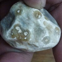 حجر طبيعي • سليماني • سليم