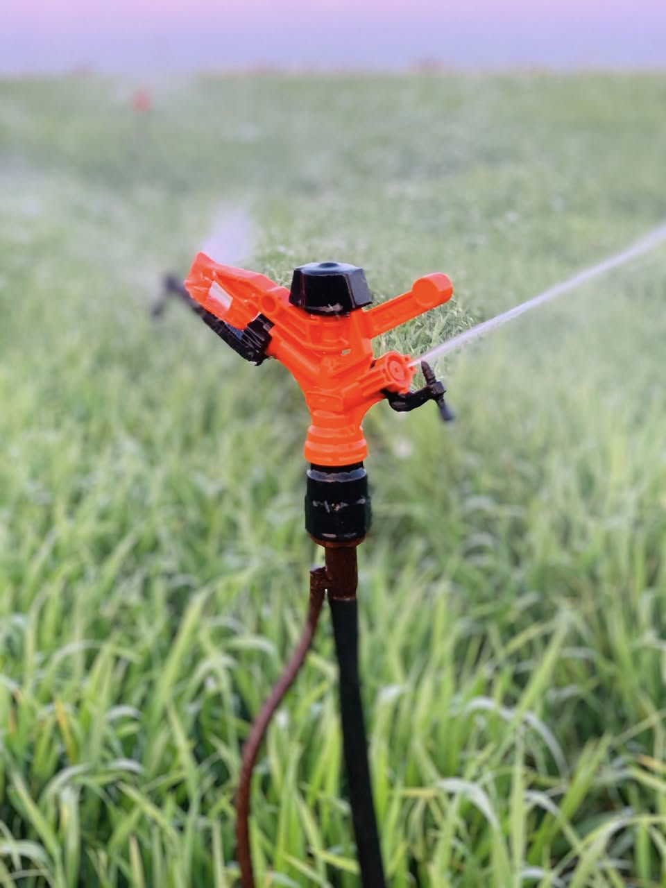 السلام عليكم ارض زراعيه للبيع جزيرت مكيشيفه غطاسات ٢ بحيرات عدد ٢ كهرباء واصله استفسار ***********
