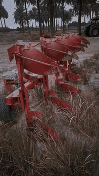 السلام عليكم
فدان خماسي قلاب للبيع 
العنوان بابل مشروع المسيب 
الاتصال والاستفسار على الرقم الاتي
***********
