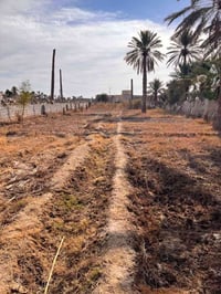 الناصريه • ١٤٠٠م • مسيجه