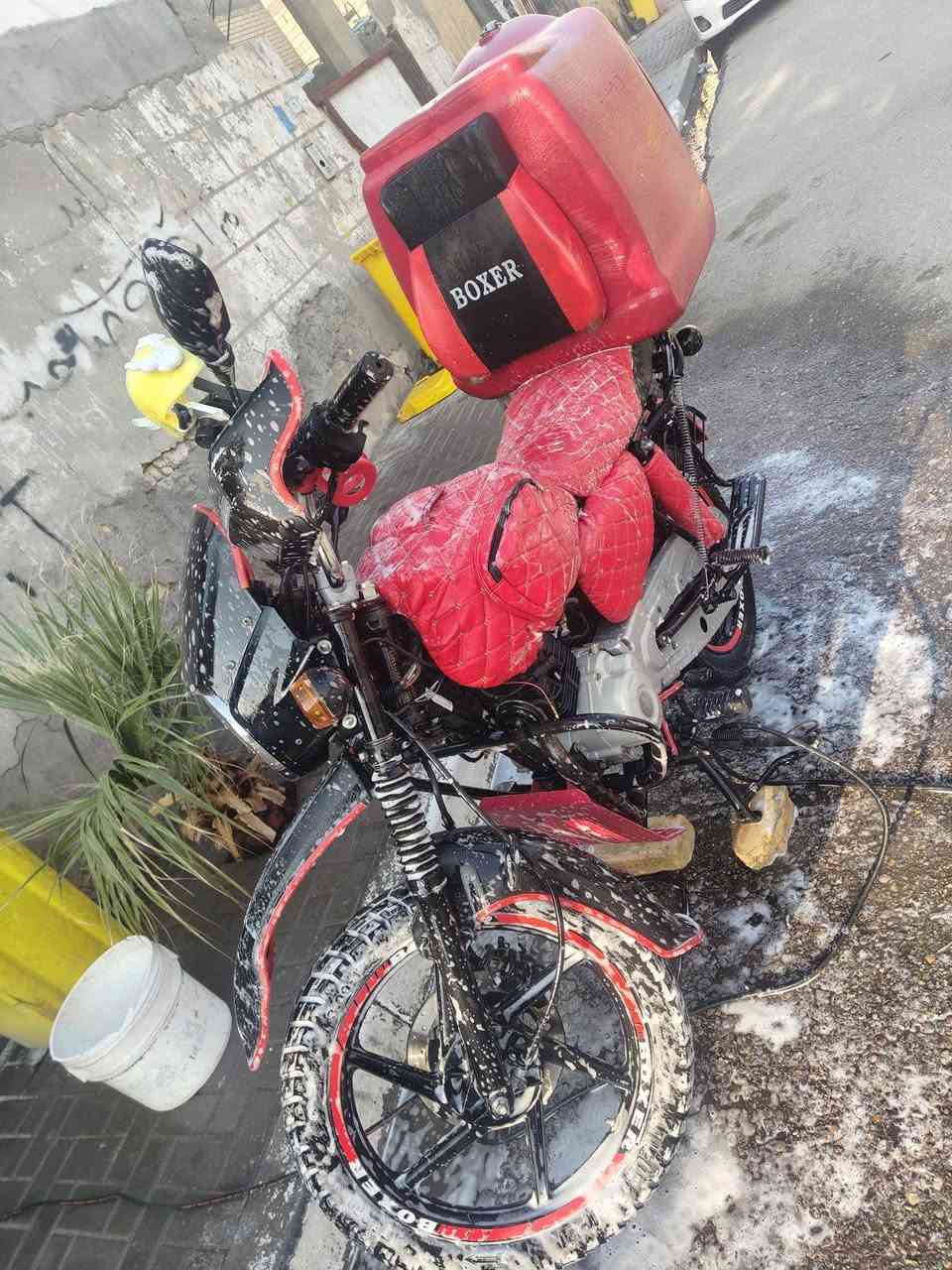 سلام عليكم دراجه بوكسر مديل2023مكينه ما مفتوحه دراجه ما متعوبه كهربائيات شغال دراجه رقم نلكيزي بئسمي
تحويل ثاني يوم كهربائات كلها شغاله دراجه كبل لشارع دراجه ما مشتغله هواي دلفري تجي وشوف بعينك كلشي شرحت رقم لهاتف(***********)متواجد واتساب وشريحه فقط عنواني( البصره القبله حي لقائم) 
سعرها(تلث ملايين) وبيها مجال كلش قليل
