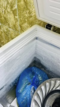 مجمدة بلادي • تجميد قوي • ما بي زنجار