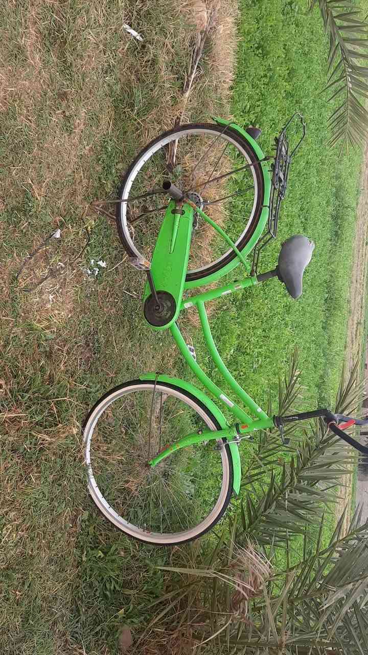 سلام عليكم باسكل البيع حجم 26عوزله بريكات بس ومكاني قضاء النصر بقريه الخفاجه سعر75وبي مجال الطيبين شراي بيه خير ويدلل تحياتي لكم @@@


**إذا كنت صاحب هذا الإعلان وتريد حذفه لأي سبب، رجاءا أرسل رسالة إلى الدعم الفني**